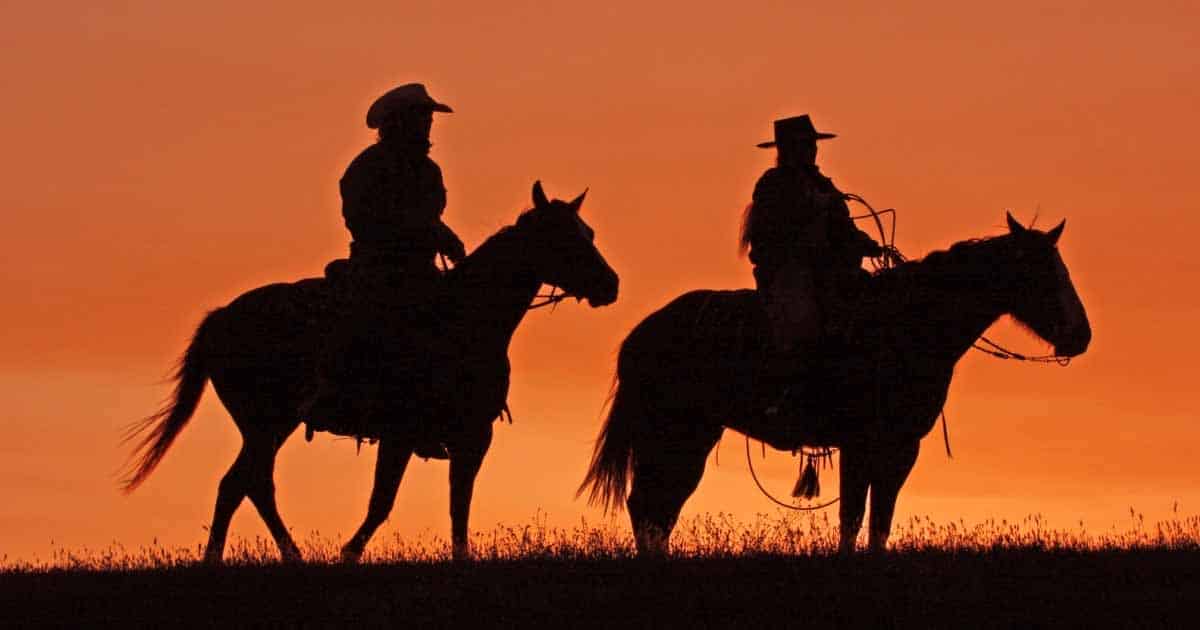 Willie Nelson and his Rendition of "Cowboys are Secretly Fond of Each Other" 1