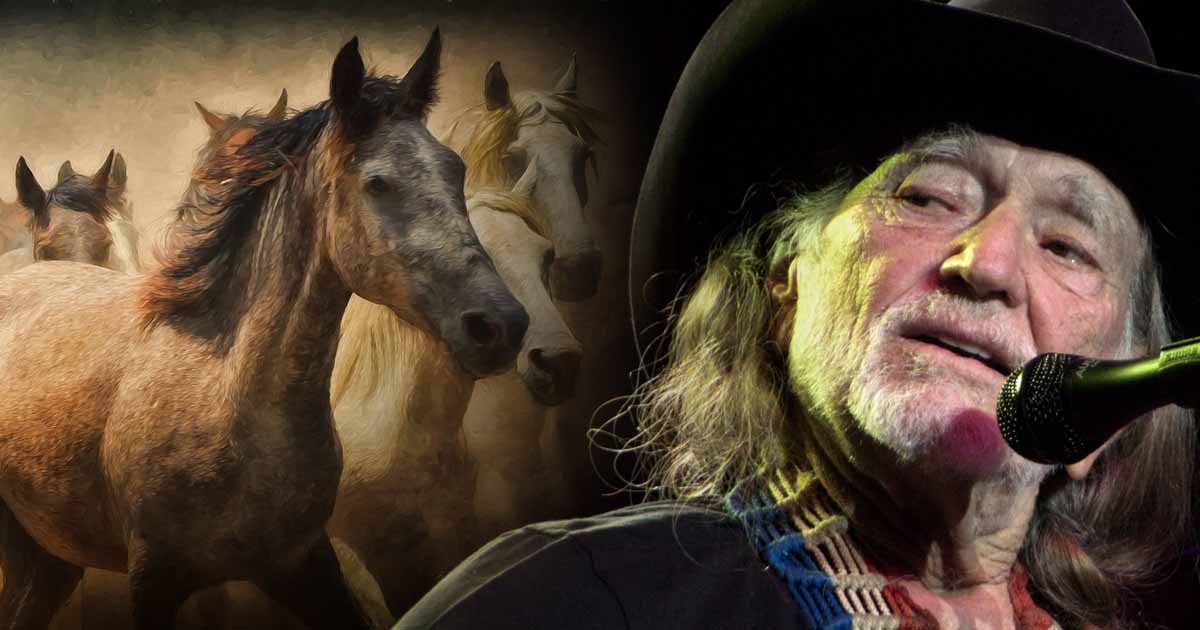 Here's How Willie Nelson Saved 70 Horses 2