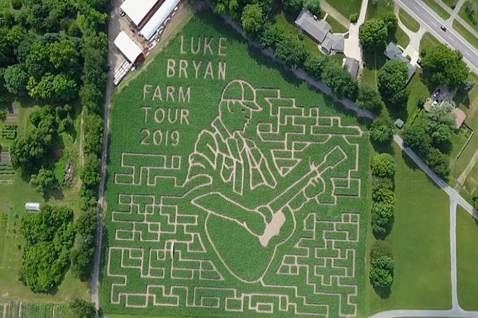 Luke Bryan, Luke, Bryan, Corn Maze