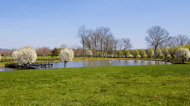 George Jones’ Southern Mansion Was His Perfect Get-Away 4