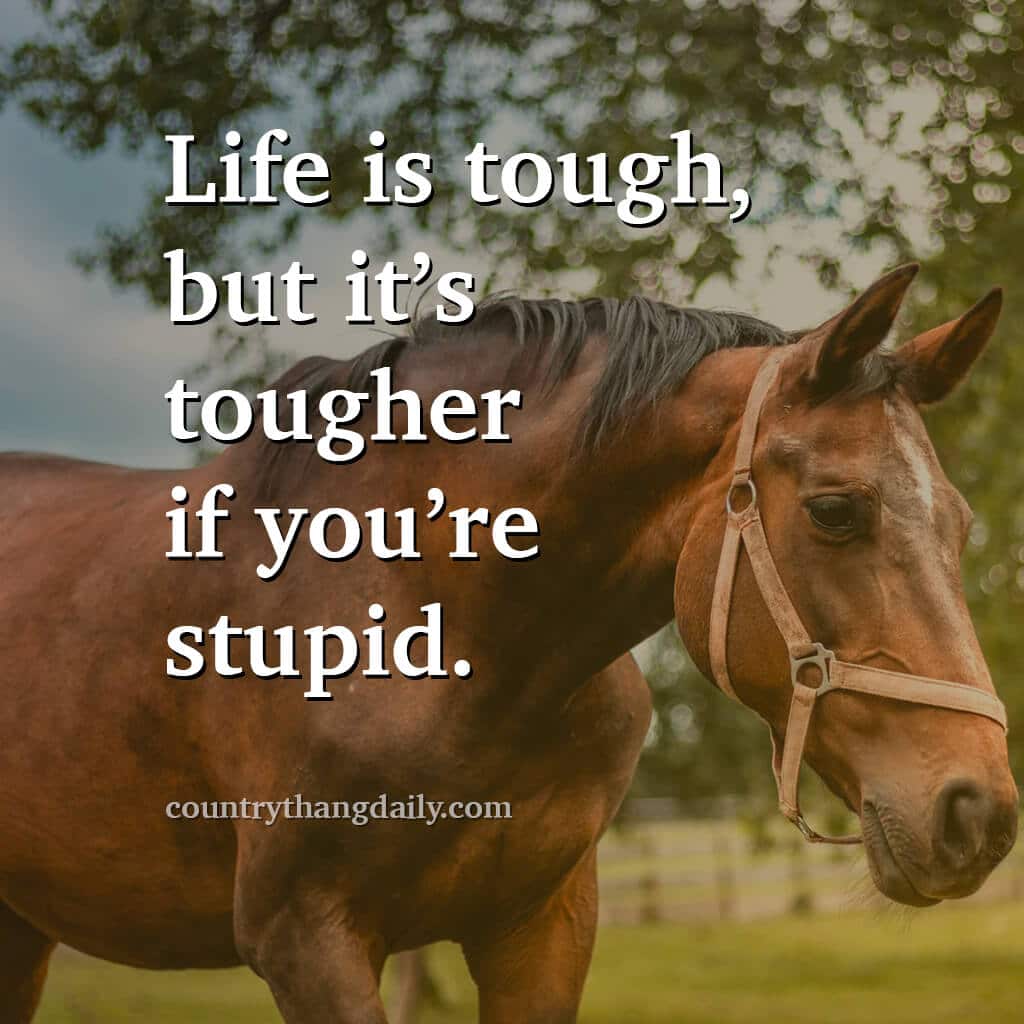 John Wayne Quotes - Life is tough but it’s tougher if you’re stupid
