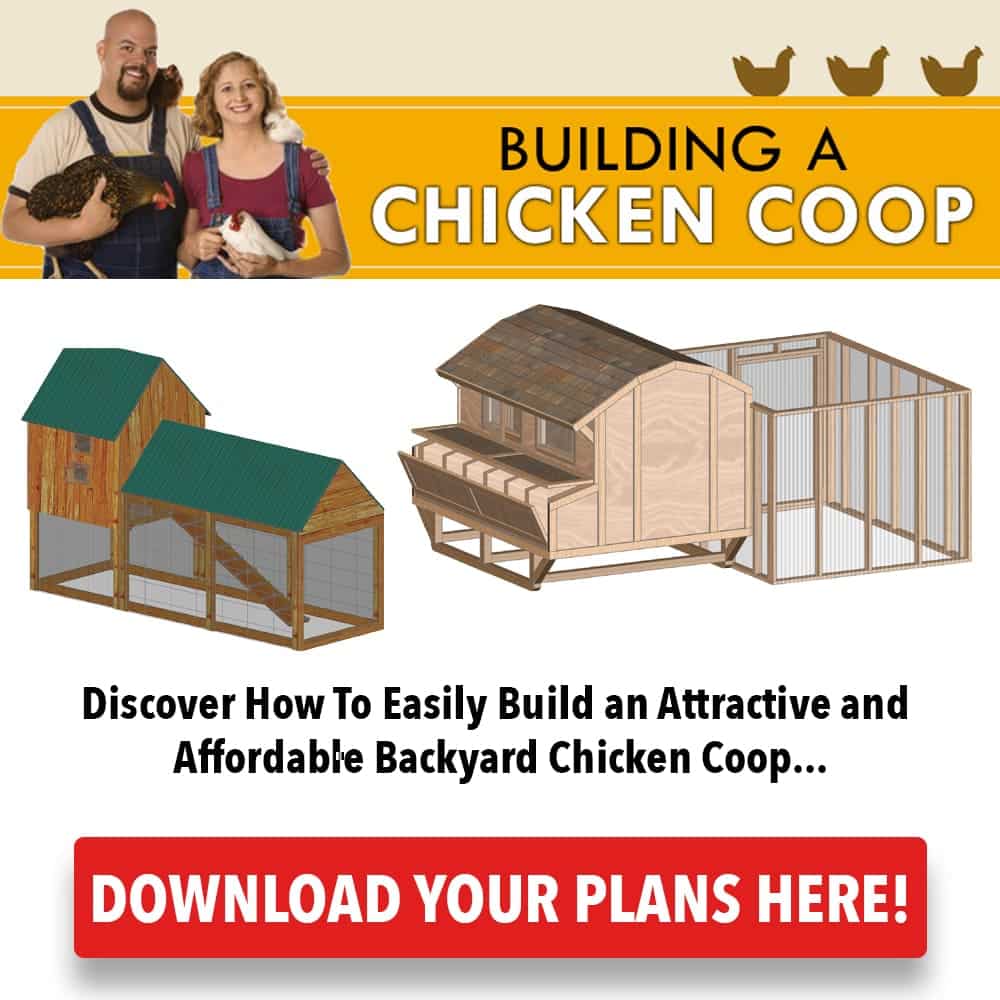 Backyard Chicken Coop Plans