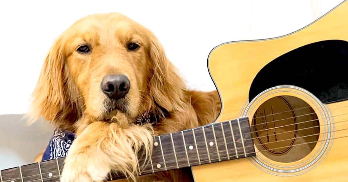 country songs about dogs