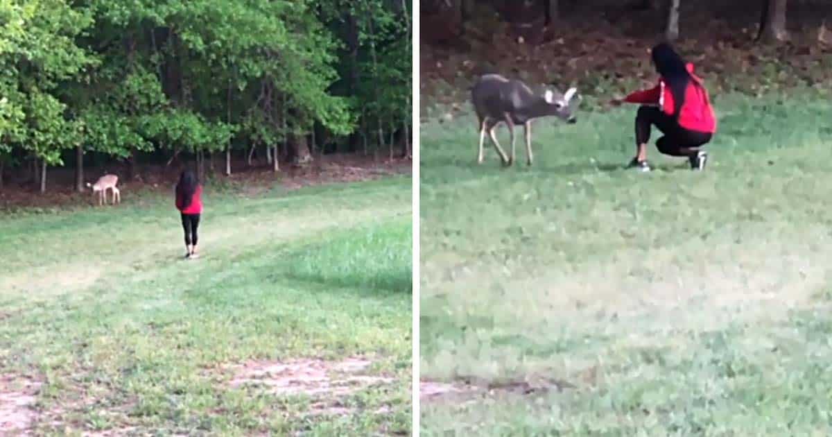 Video: Travis Tritt’s Wife Has Reunion With Deer She Raised