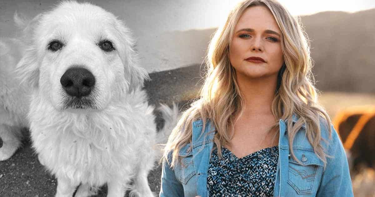 Miranda Lambert Mourns The Loss Of Beloved Dog, Thelma