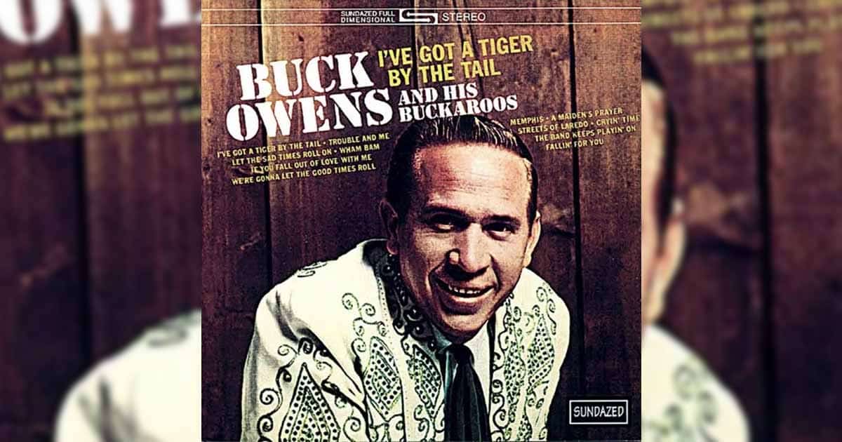 Buck Owens and the Buckaroos +I've Got a Tiger By the Tail
