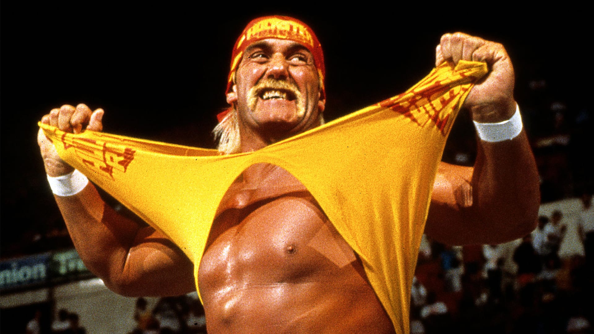 A vintage photo of Hulk Hogan tearing his yellow shirt in the ring, resurfacing as his cause of death is confirmed one week after his passing at 71.