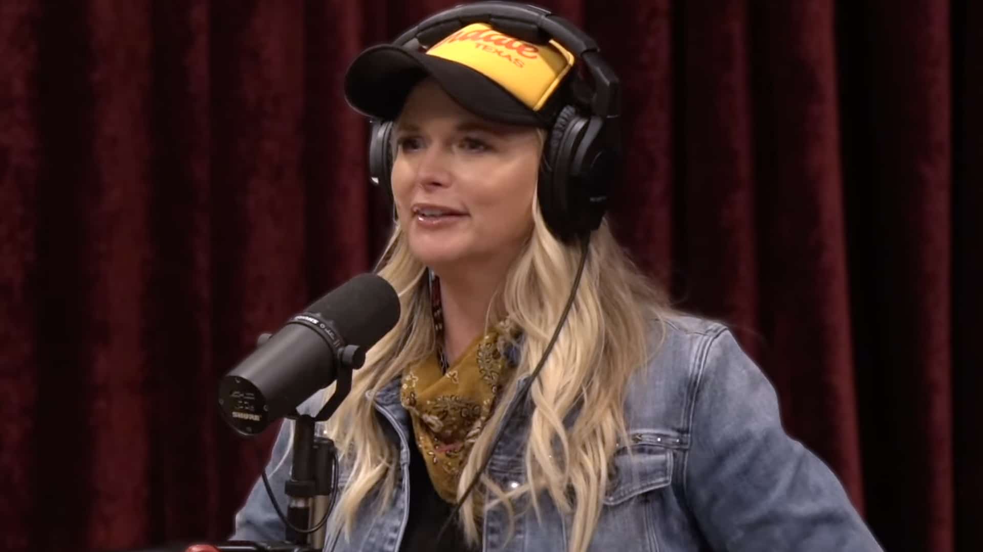 Miranda Lambert speaks candidly during her appearance on Joe Rogan's podcast, a move that has divided fans and sparked controversy.
